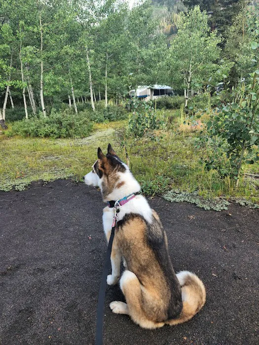 Iron Mine Campground Picture 4
