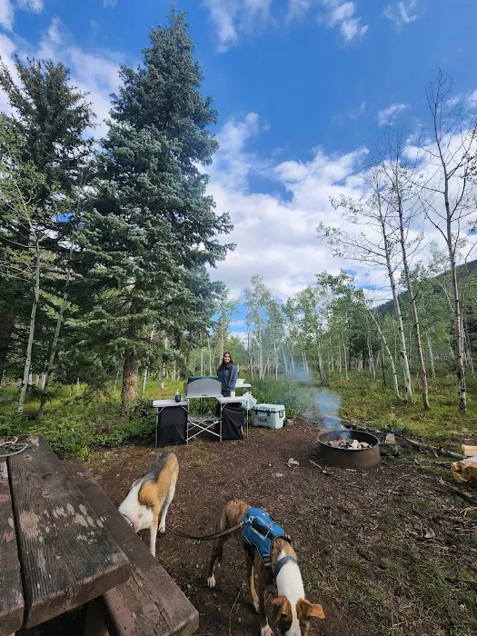 Iron Mine Campground Picture 6