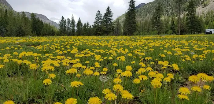 Iron Mine Campground Picture 7