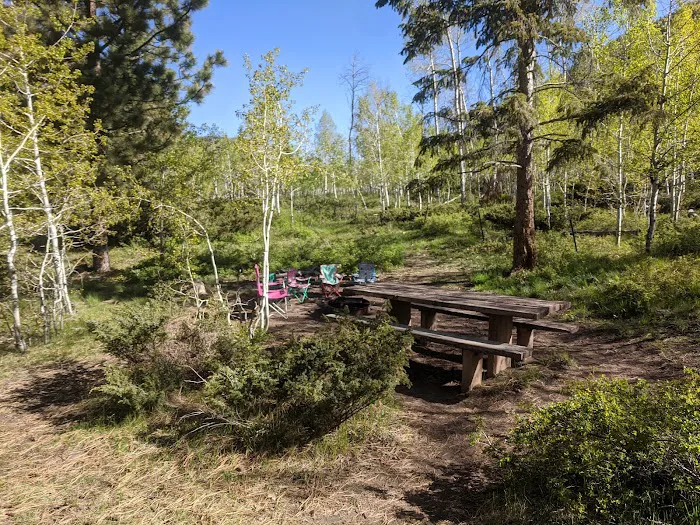 Iron Mine Campground Picture 10