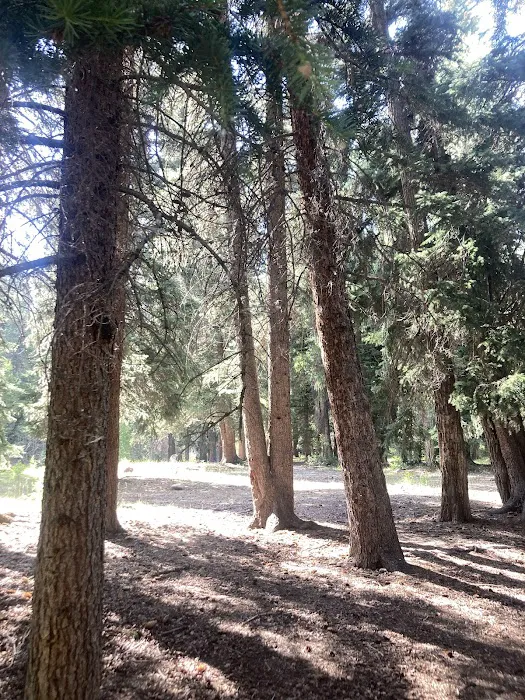 Hades Campground Picture 4