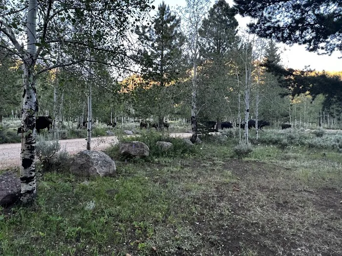 Hades Campground Picture 10