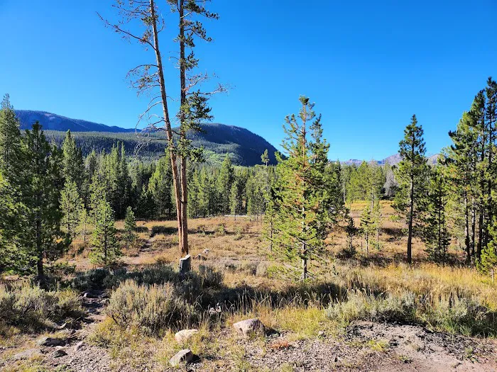 Beaver View Campground Picture 3