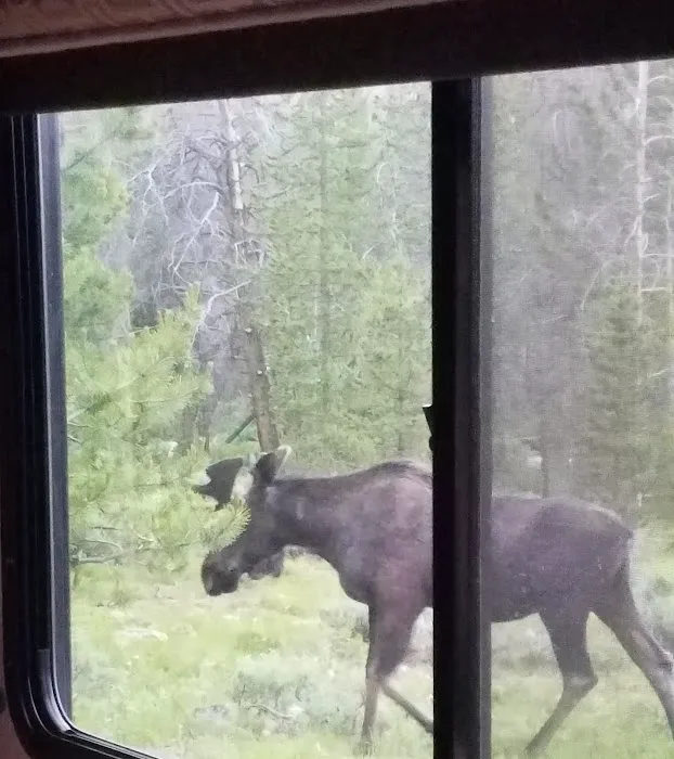 Beaver View Campground Picture 10