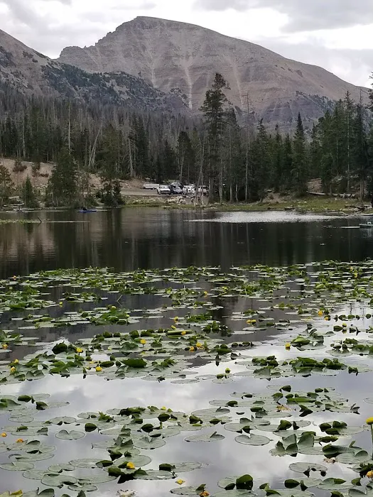 Butterfly Lake Campground Picture 1