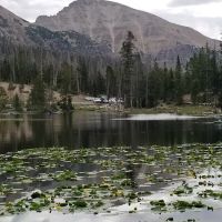 Butterfly Lake Campground ico