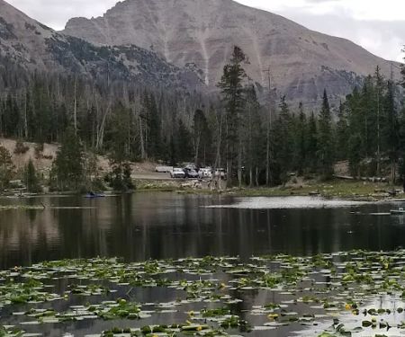 Butterfly Lake Campground