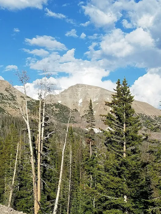 Butterfly Lake Campground Picture 6