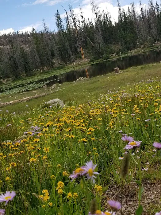 Butterfly Lake Campground Picture 9