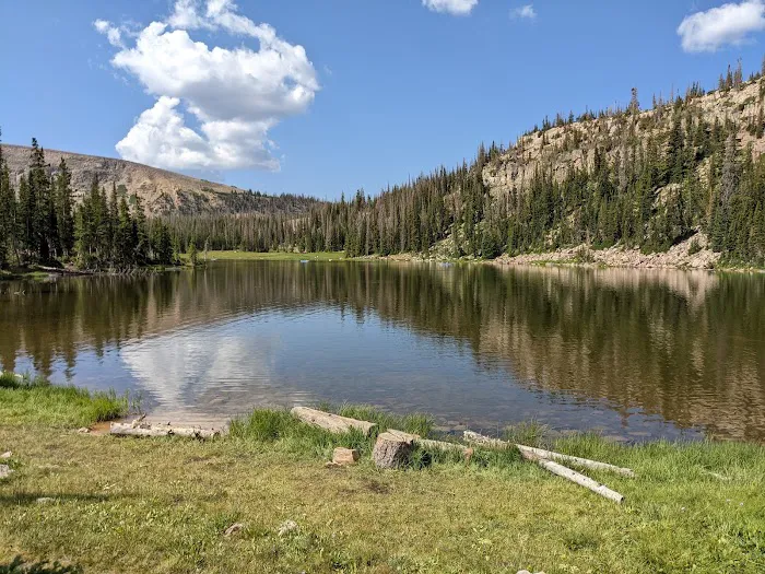 Moosehorn Campground Picture 4