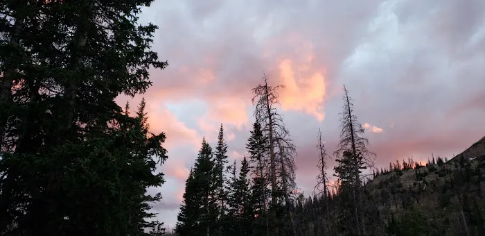 Moosehorn Campground Picture 8