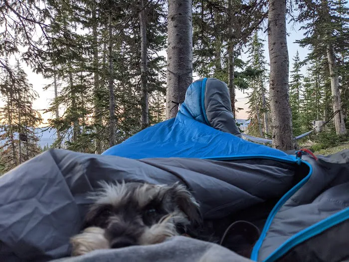 Moosehorn Campground Picture 10