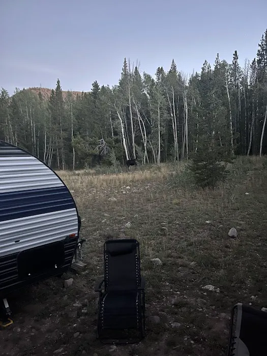 Hayden Fork Campground Picture 4