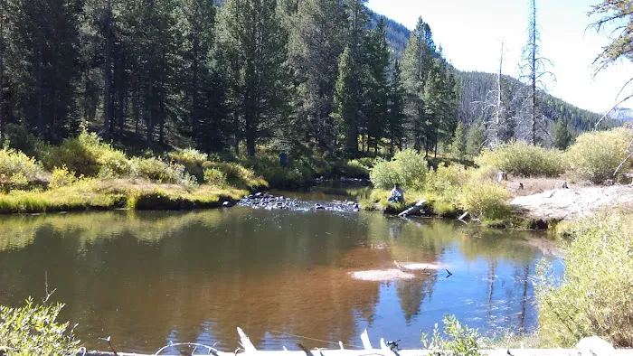 Hayden Fork Campground Picture 6