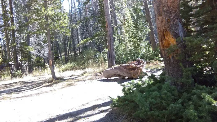 Hayden Fork Campground Picture 7