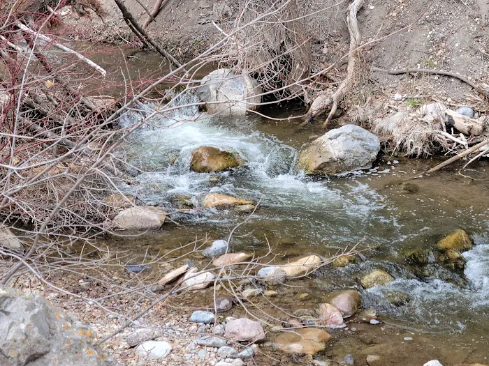 Maple Bench Campground Picture 2