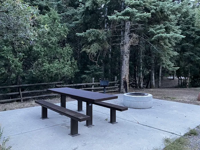 Maple Bench Campground Picture 6