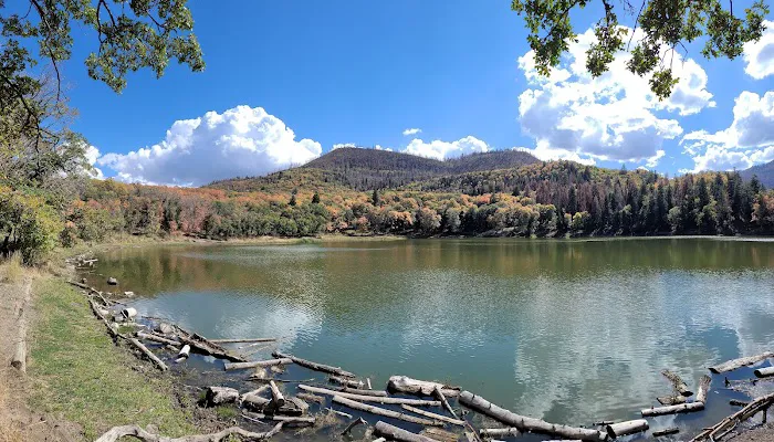 Maple Lake Campground Picture 2