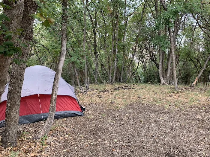 Maple Lake Campground Picture 10