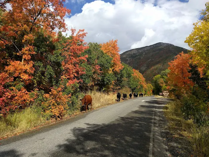 Cherry Campground Picture 6