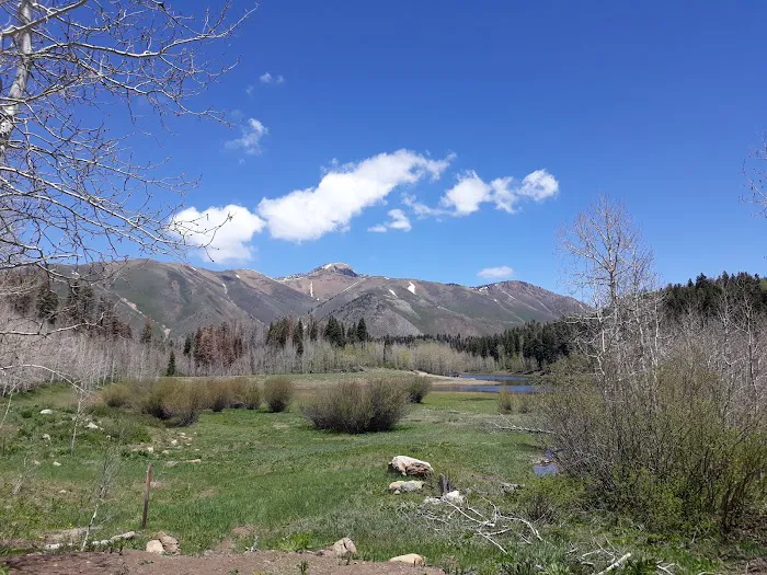 Payson Lakes Group Campsite C Picture 7