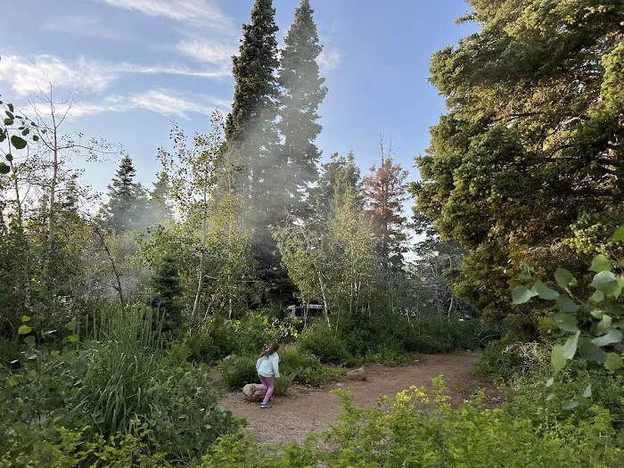 Payson Lakes Campground Picture 5