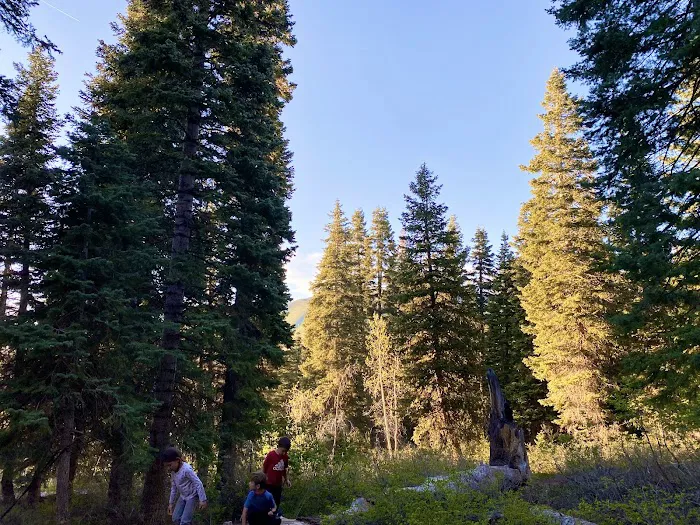 Payson Lakes Campground Picture 6