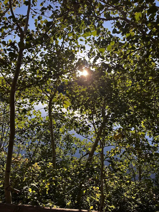 Payson Lakes Campground Picture 10