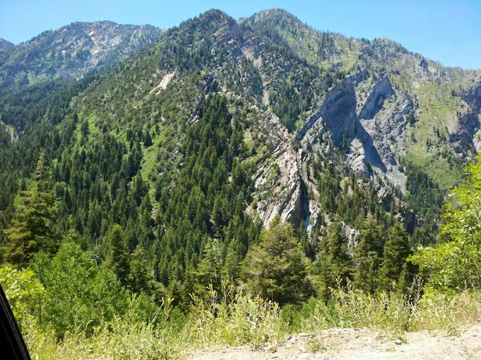 Tinney Flat Campground Picture 3