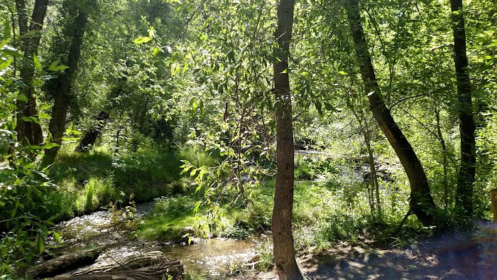 Tinney Flat Campground Picture 1