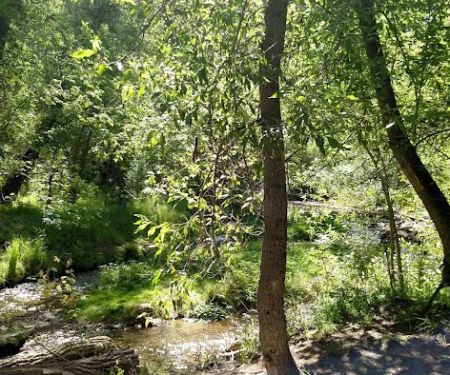 Tinney Flat Campground