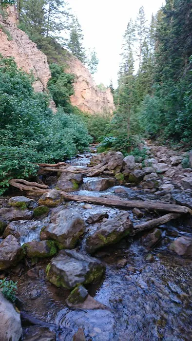 Tinney Flat Campground Picture 6