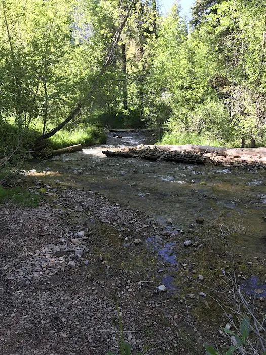 Tinney Flat Campground Picture 5
