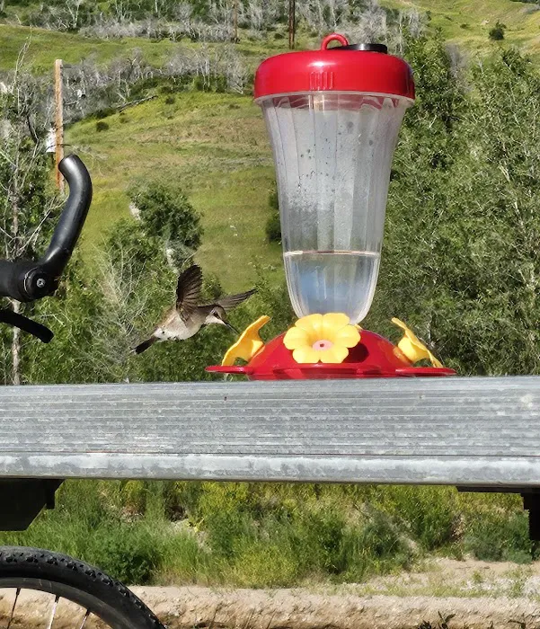 Spanish Fork River Park Campground Picture 5