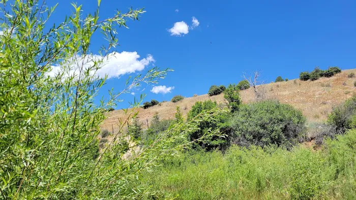 Diamond Campground Picture 4