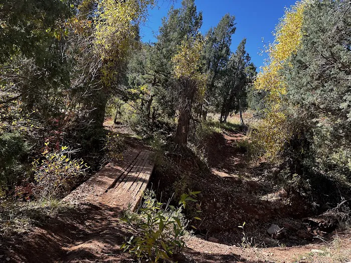 Sawmill Hollow Campground Picture 3