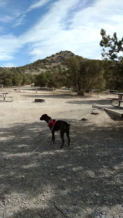 Oasis Campground Picture 6