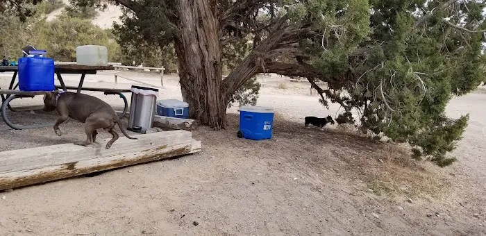 Oasis Campground Picture 10