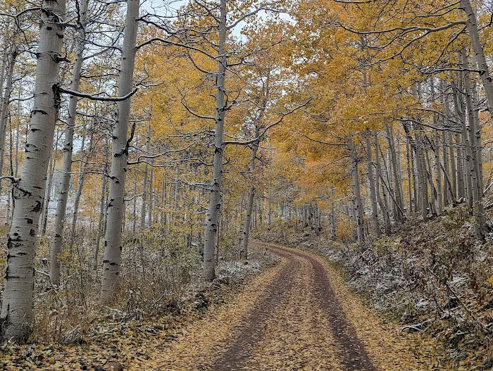 Mud Creek Camping Area Picture 6