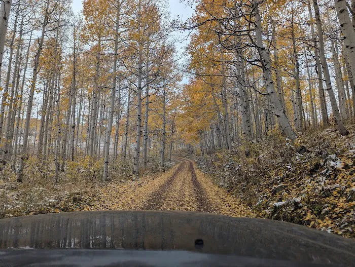 Mud Creek Camping Area Picture 9