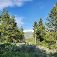 Currant Creek Campground ico