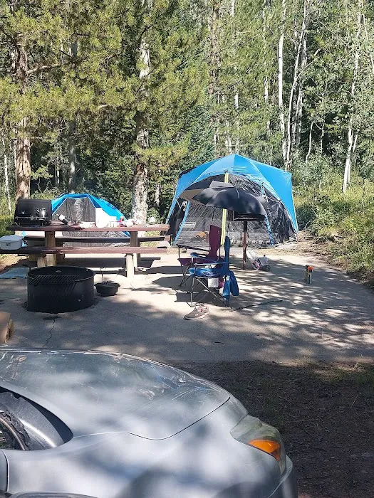 Currant Creek Campground Picture 5