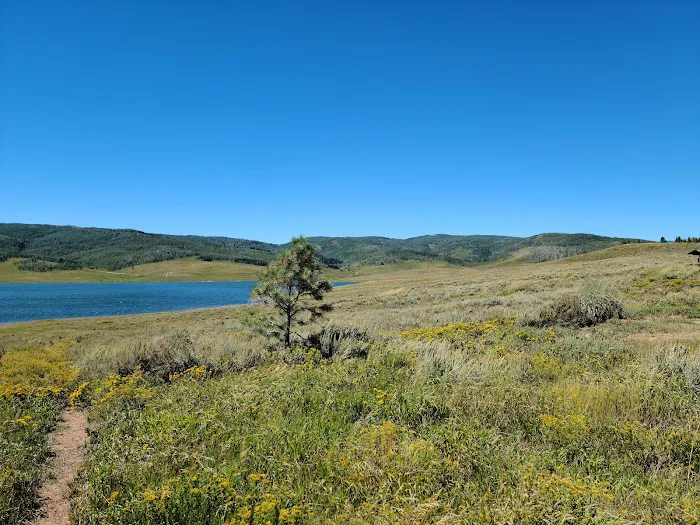 Strawberry Bay Campground Loop B Picture 2