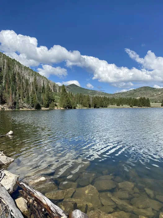 Currant Creek Campground Loop D Picture 1