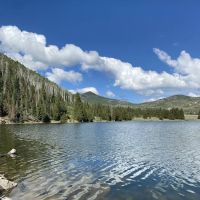Currant Creek Campground Loop D ico