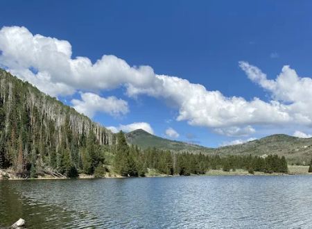 Currant Creek Campground Loop D