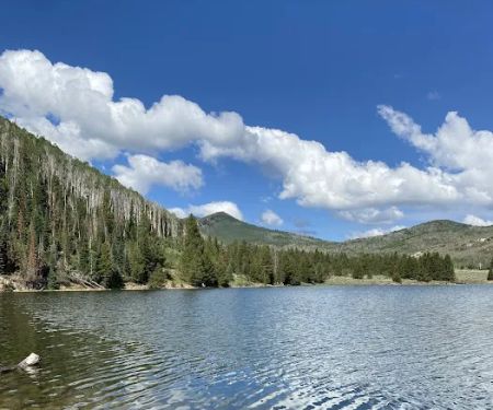 Currant Creek Campground Loop D