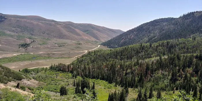 Currant Creek Campground Loop D Picture 2