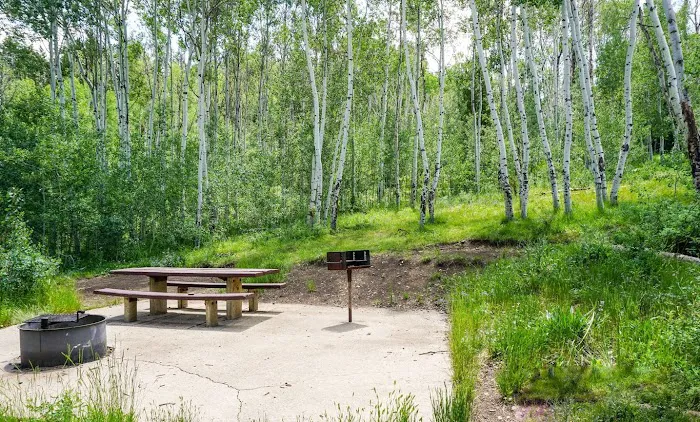 Currant Creek Campground Loop D Picture 3