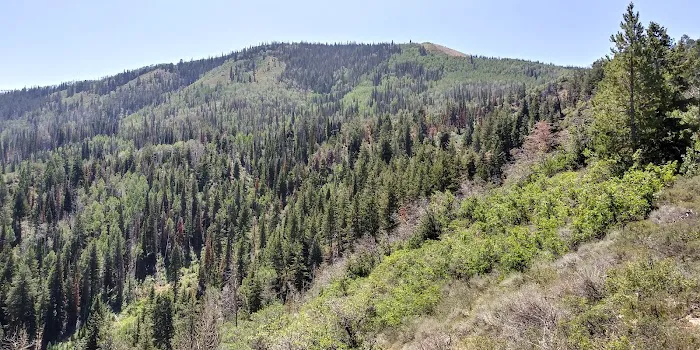 Currant Creek Campground Loop D Picture 7